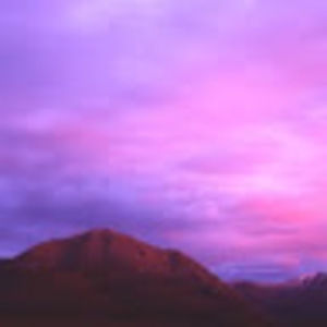 Meet your Posher, Lexie